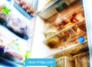 store food in the fridge