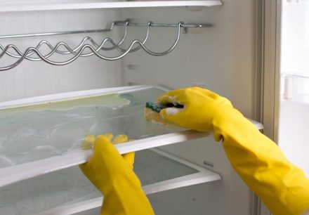 How to clean ice maker and water dispenser in refrigerator?