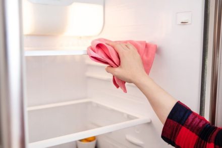 Tips to clean your Fridge and remove bad smells